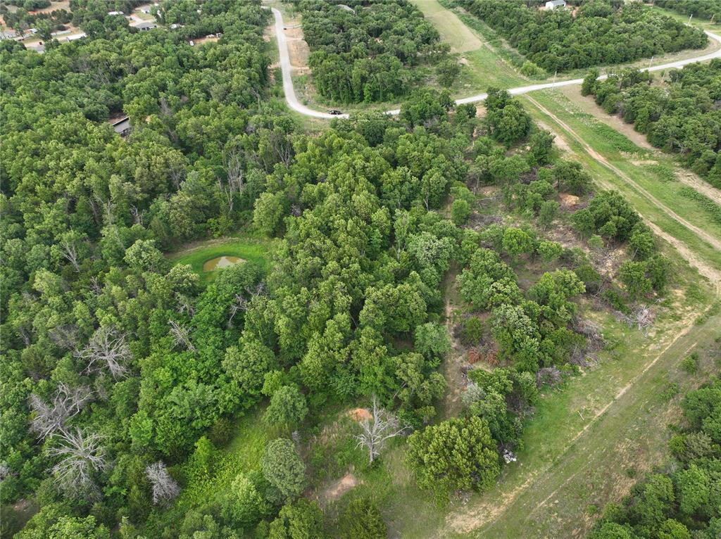 Green Moss Trail Property Photo 14