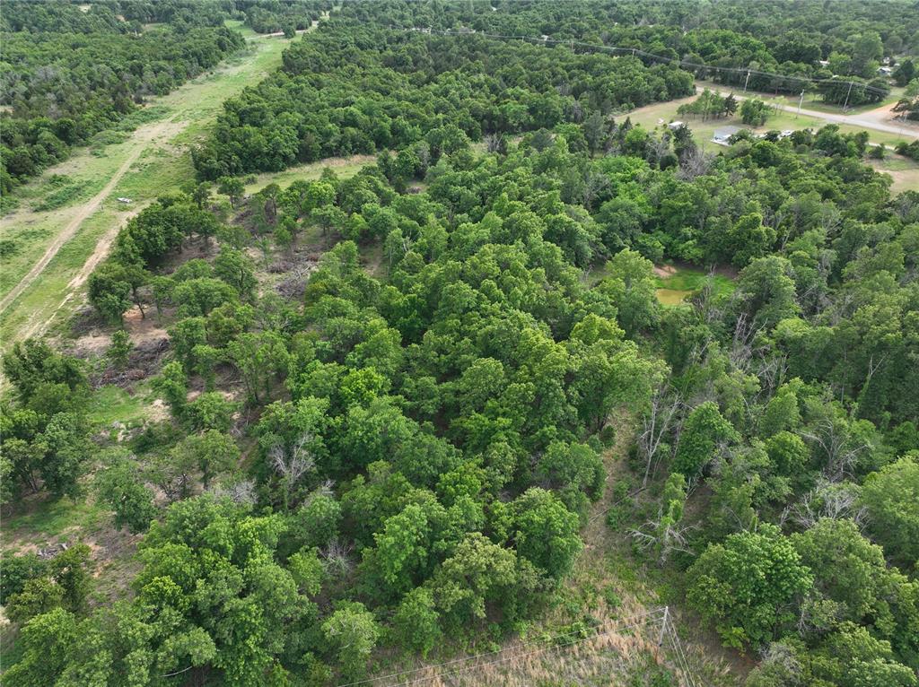 Green Moss Trail Property Photo 15