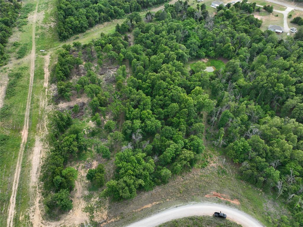 Green Moss Trail Property Photo 17