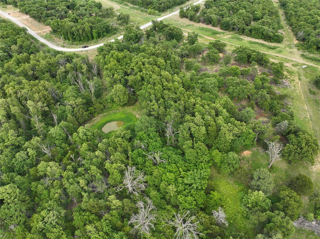 Green Moss Trail Property Photo 18