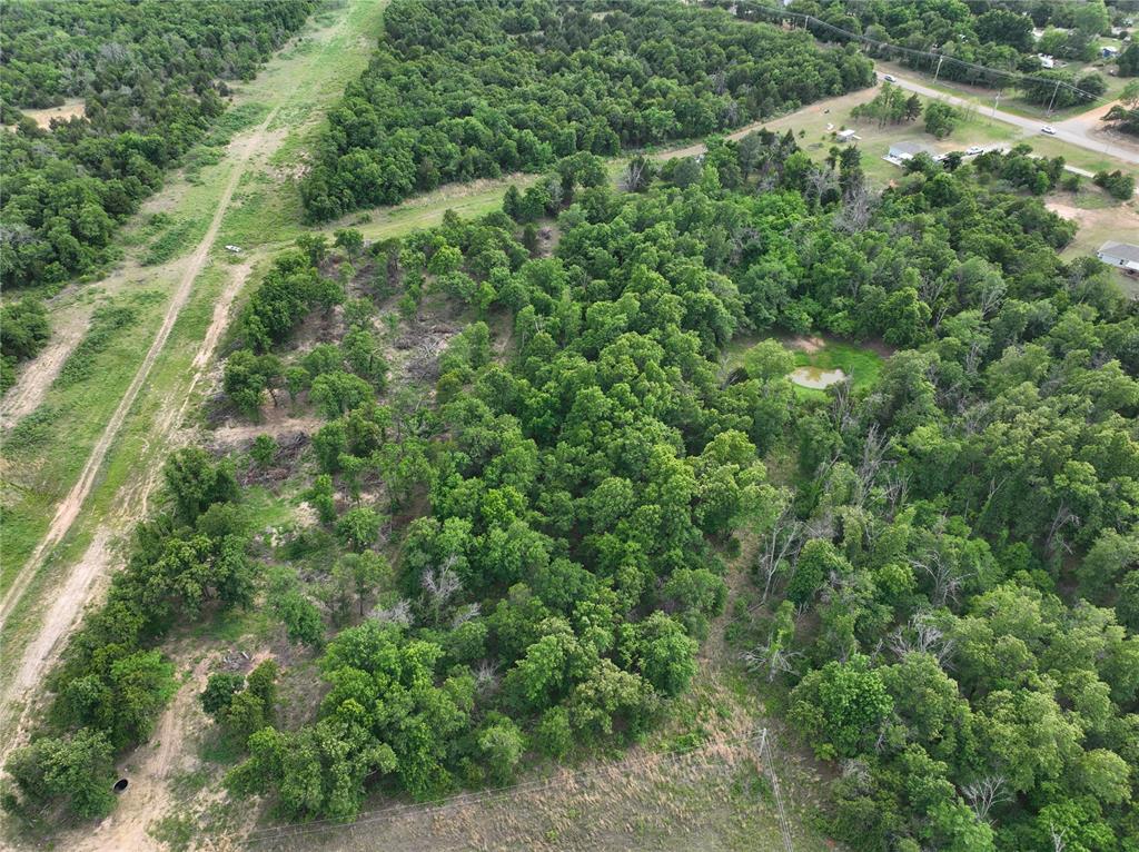 Green Moss Trail Property Photo 19