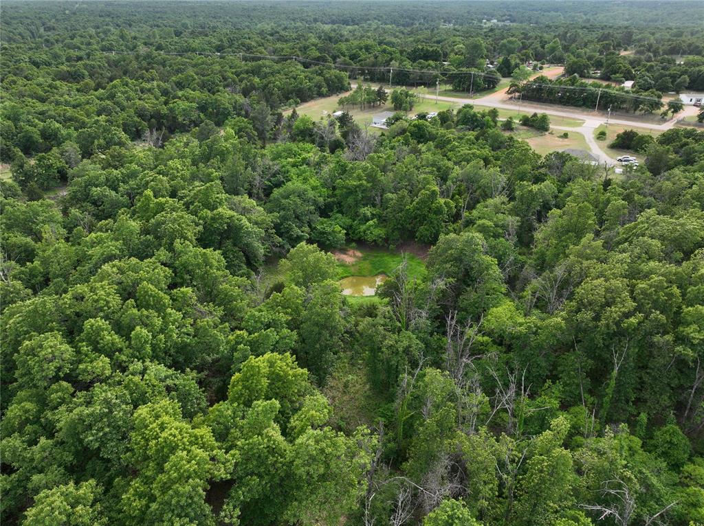 Green Moss Trail Property Photo 20