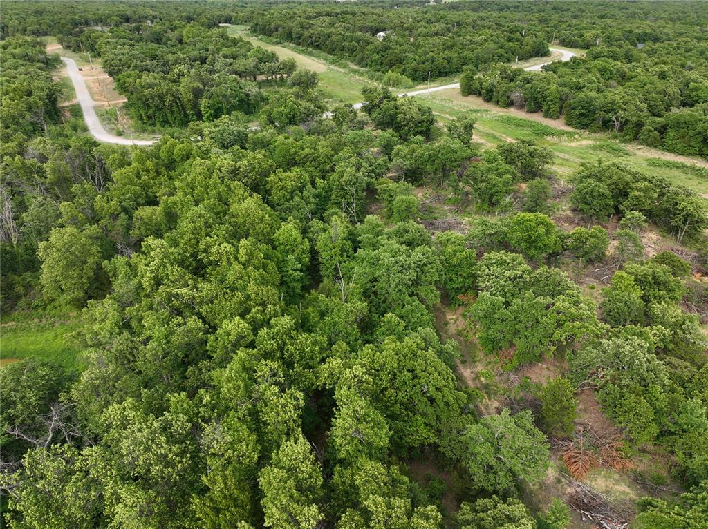 Green Moss Trail Property Photo 22