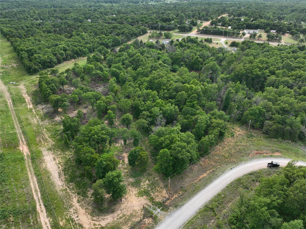 Green Moss Trail Property Photo 23