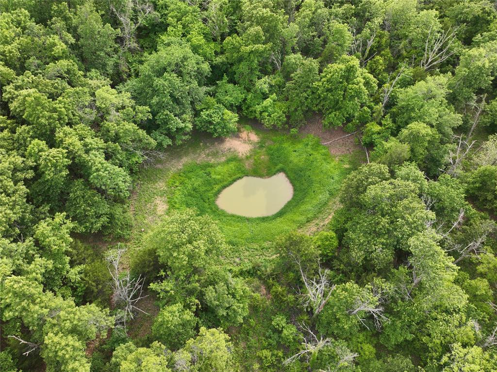 Green Moss Trail Property Photo 24