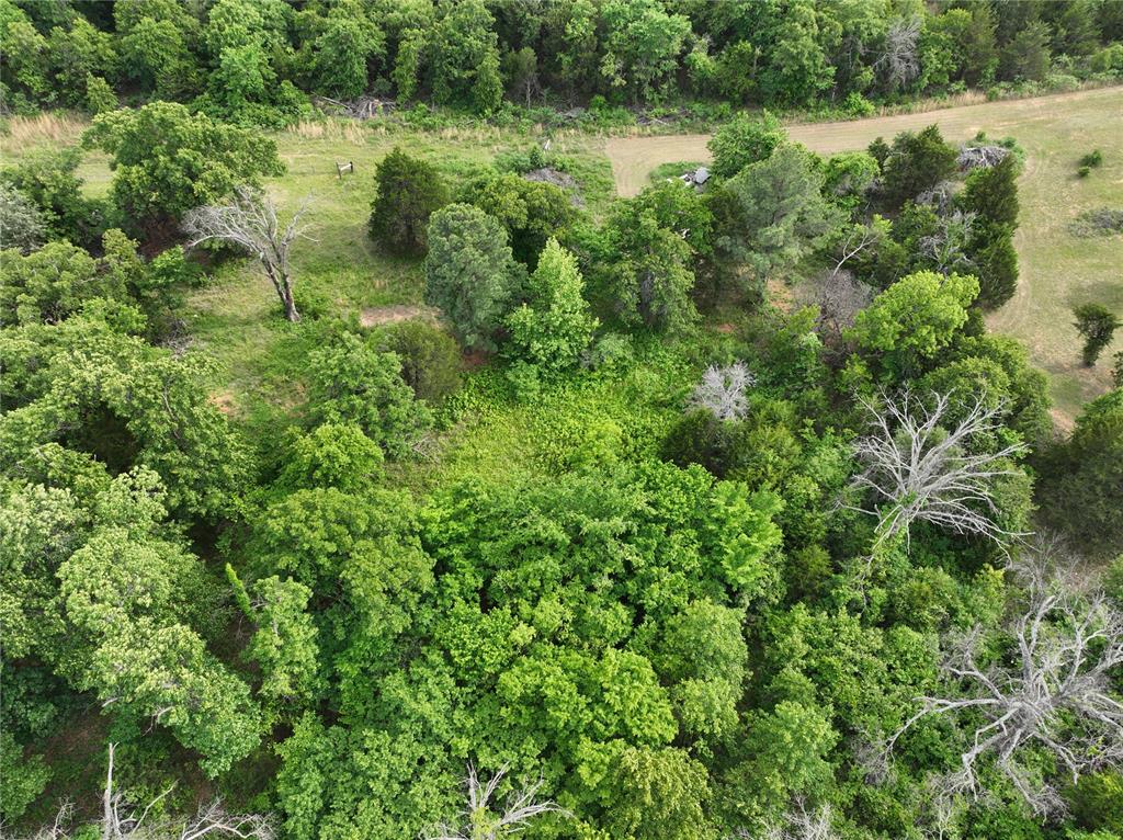 Green Moss Trail Property Photo 25