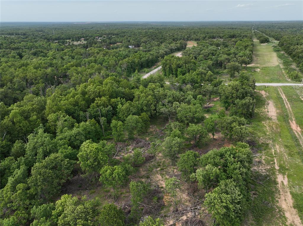 Green Moss Trail Property Photo 26