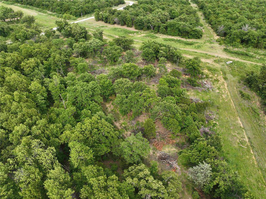 Green Moss Trail Property Photo 27