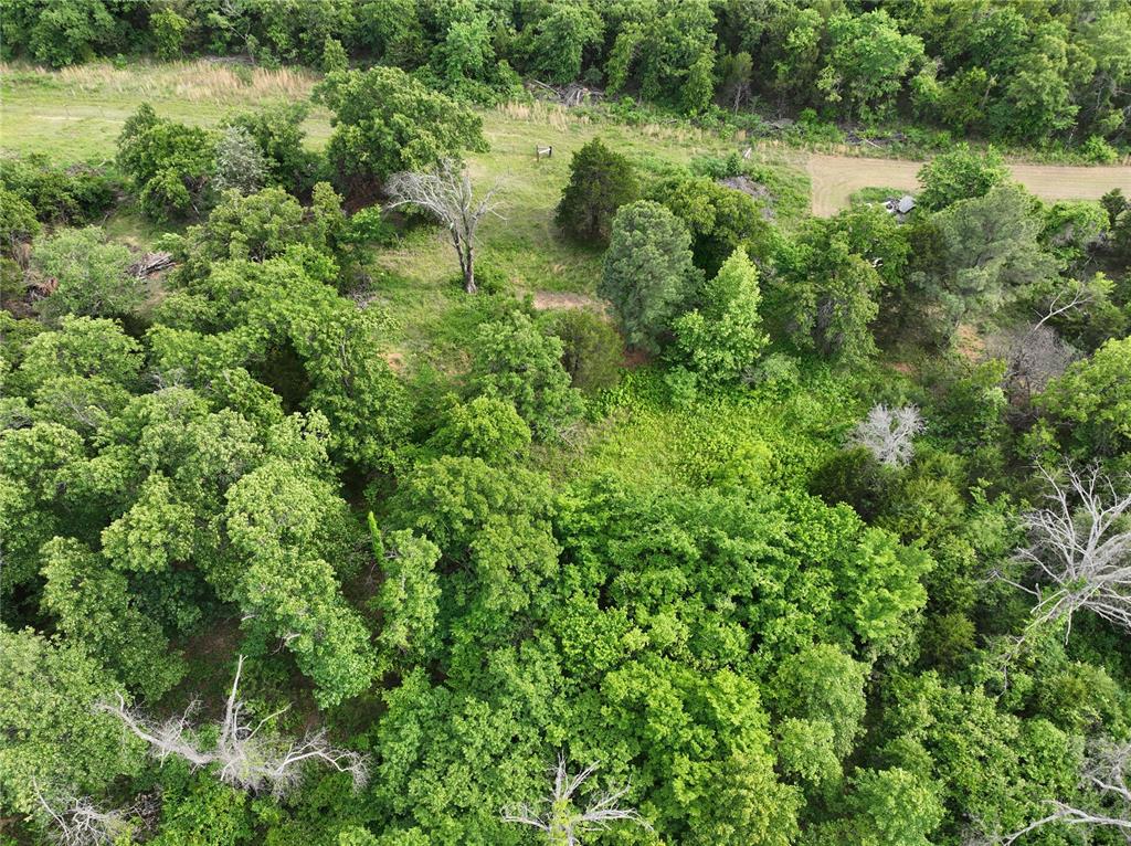 Green Moss Trail Property Photo 28