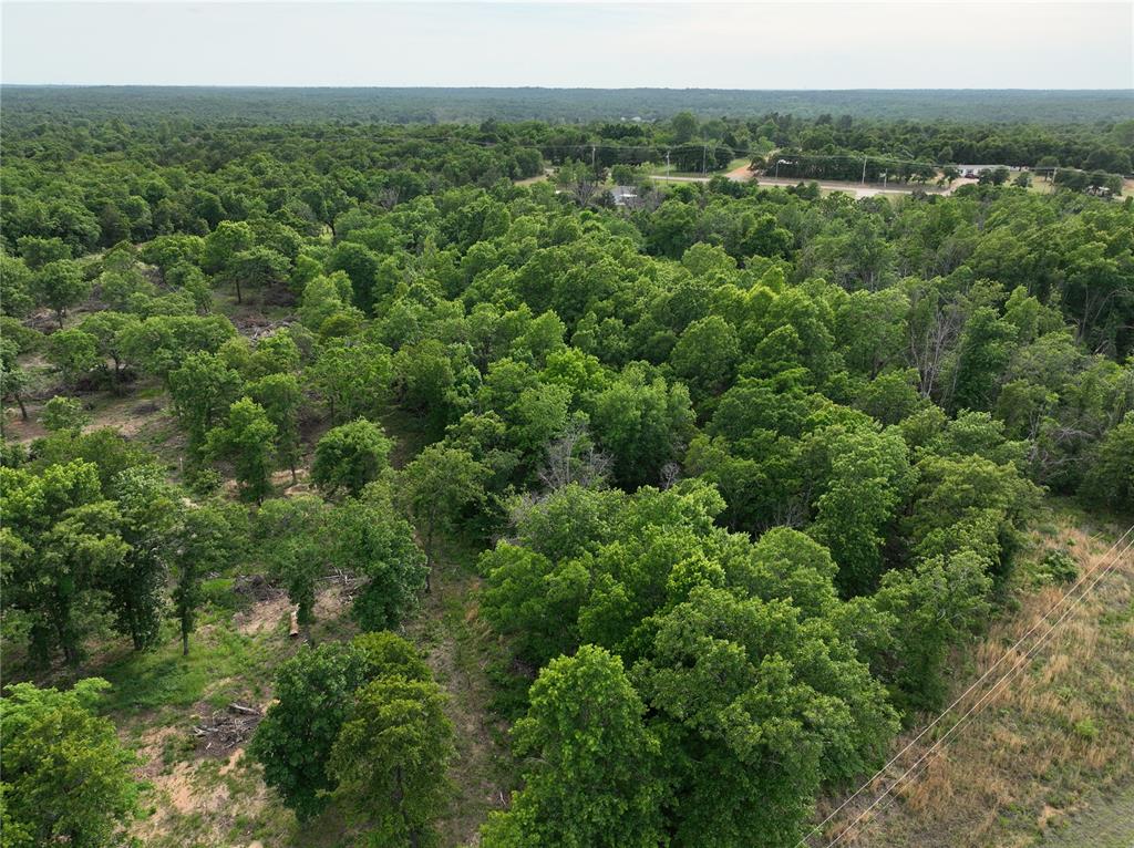 Green Moss Trail Property Photo 29