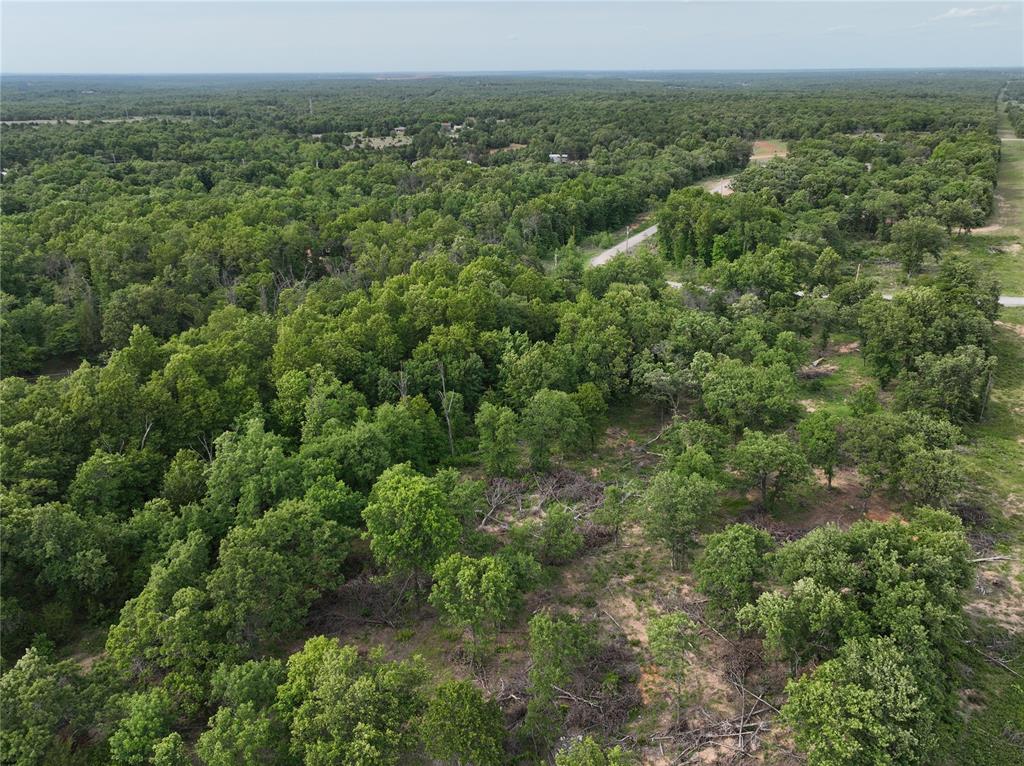 Green Moss Trail Property Photo 30