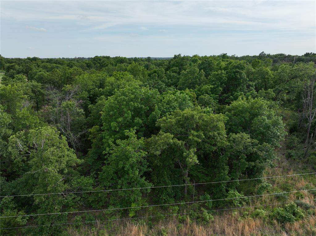 Green Moss Trail Property Photo 31