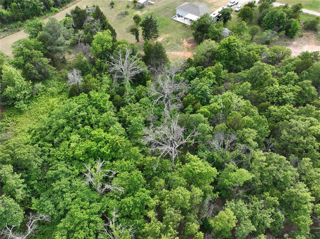 Green Moss Trail Property Photo 32