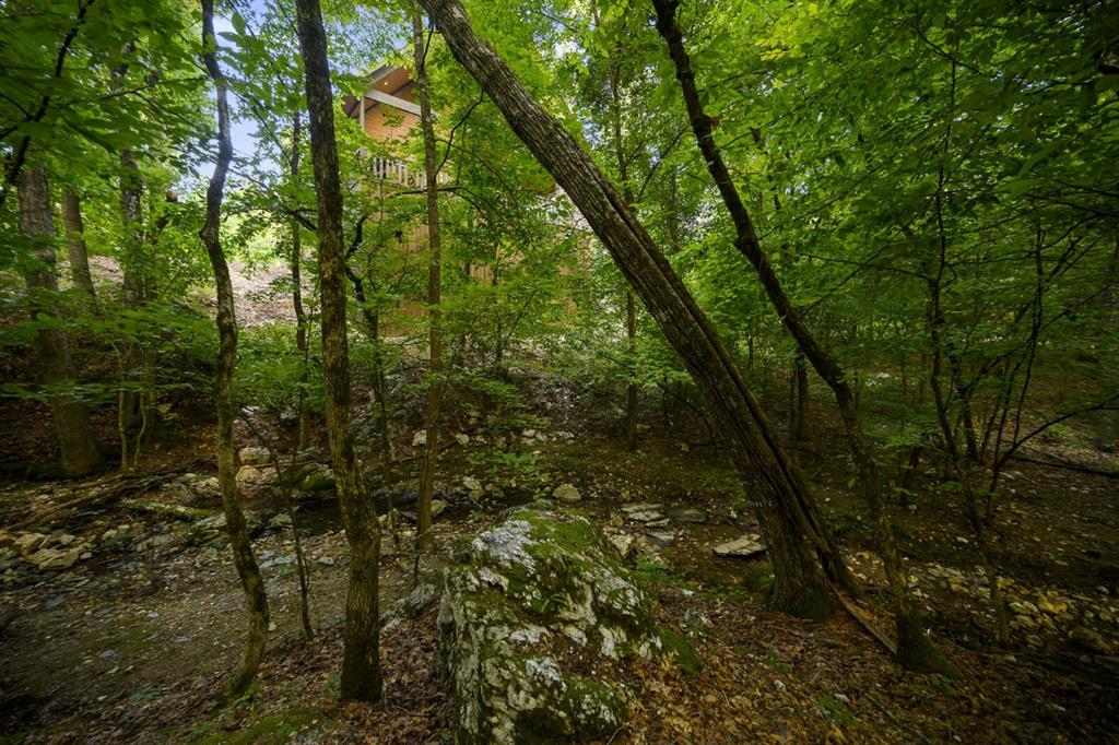 150 W Eagle Mountain Trail Property Photo 24