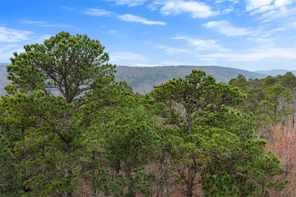 000 Tbd Boktuklo Valley Property Photo 4