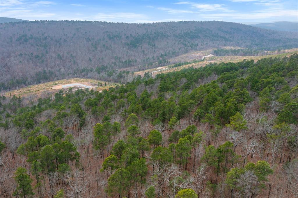 000 Tbd Boktuklo Valley Property Photo 5
