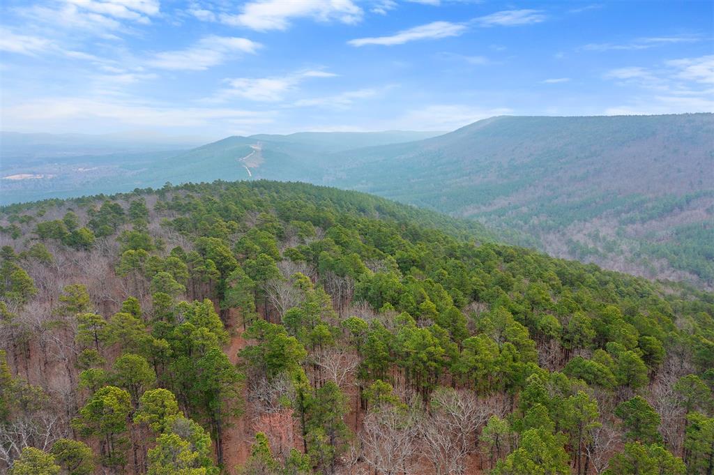 000 Tbd Boktuklo Valley Property Photo 6