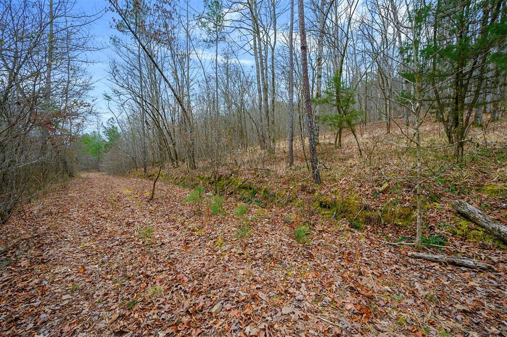 000 Tbd Boktuklo Valley Property Photo 11
