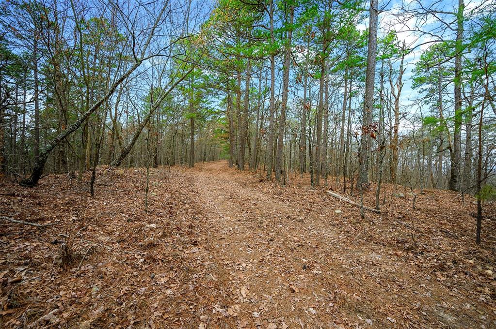 000 Tbd Boktuklo Valley Property Photo 19