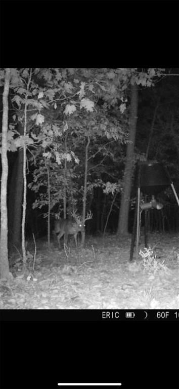 000 Tbd Boktuklo Valley Property Photo 47