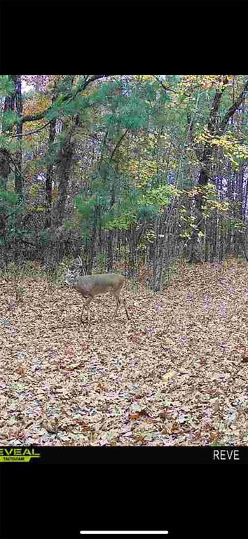 000 Tbd Boktuklo Valley Property Photo 48