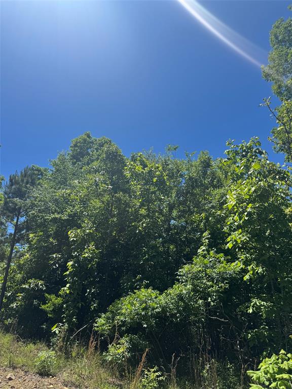 60 Vista Ridge Trail Property Photo 6