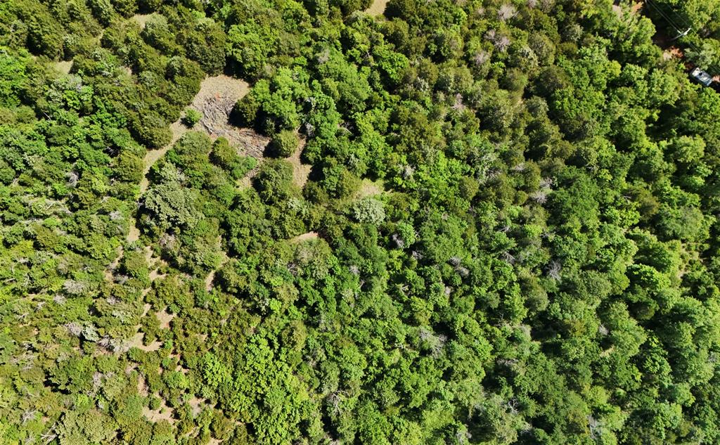 Bryant And Britton 5 Property Photo 20