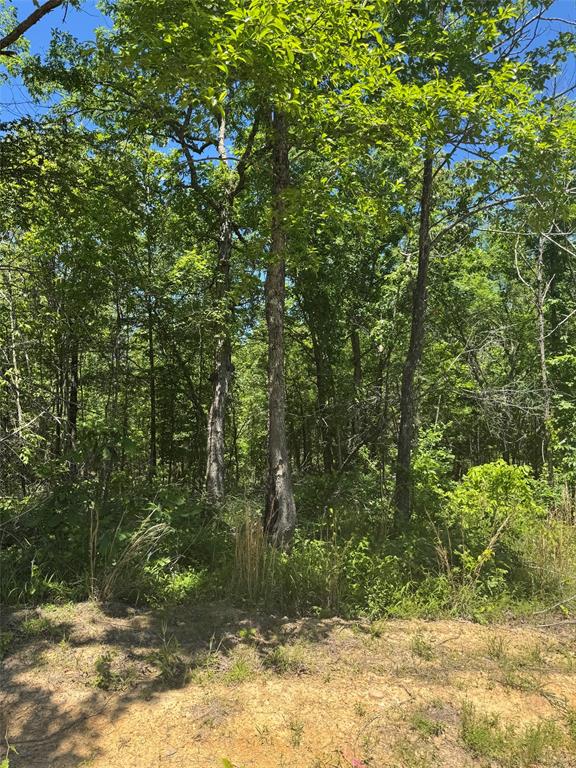63 Hillside Way Property Photo 5