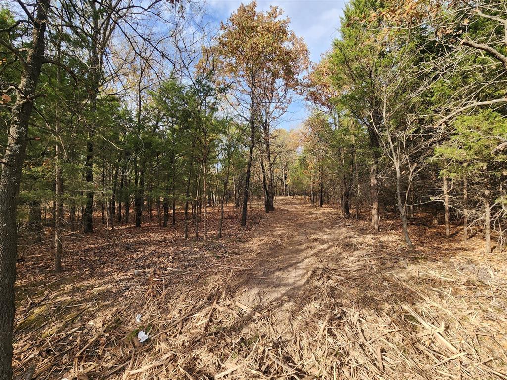 E 1160 Road Property Photo 8