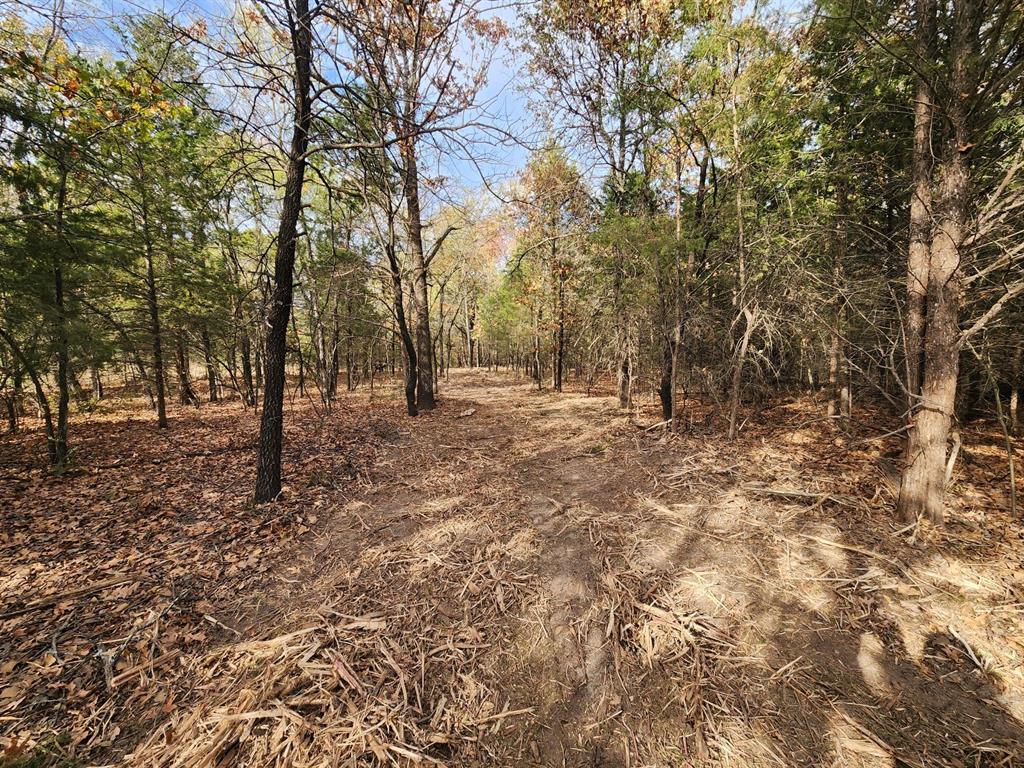 E 1160 Road Property Photo 9