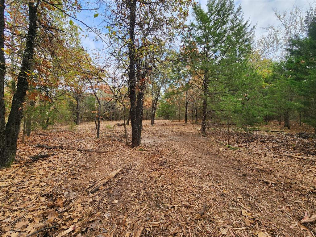 N 4260 Road Property Photo 3