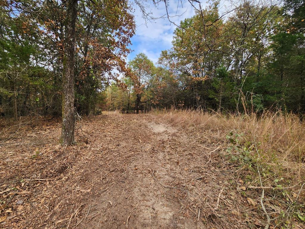 N 4260 Road Property Photo 4
