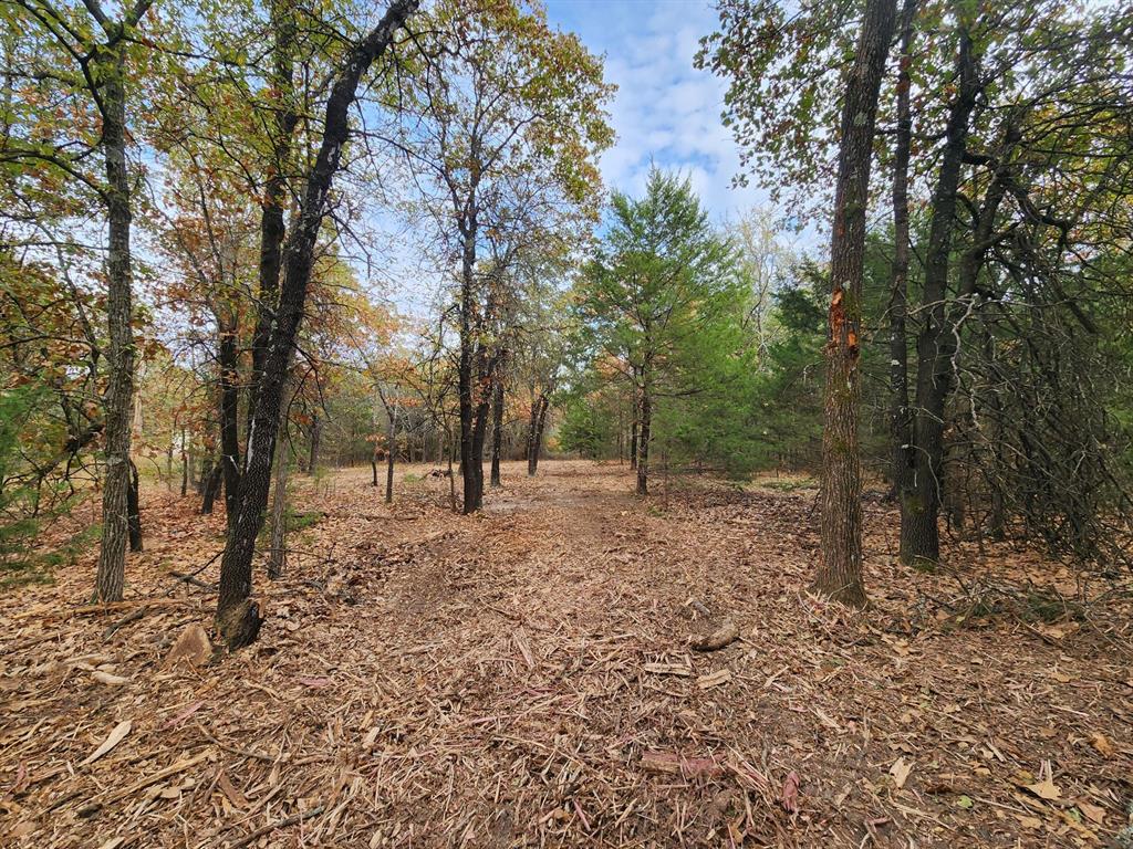 N 4260 Road Property Photo 5