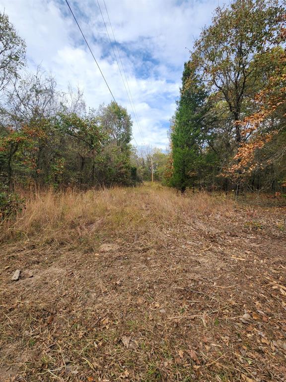 N 4260 Road Property Photo 6