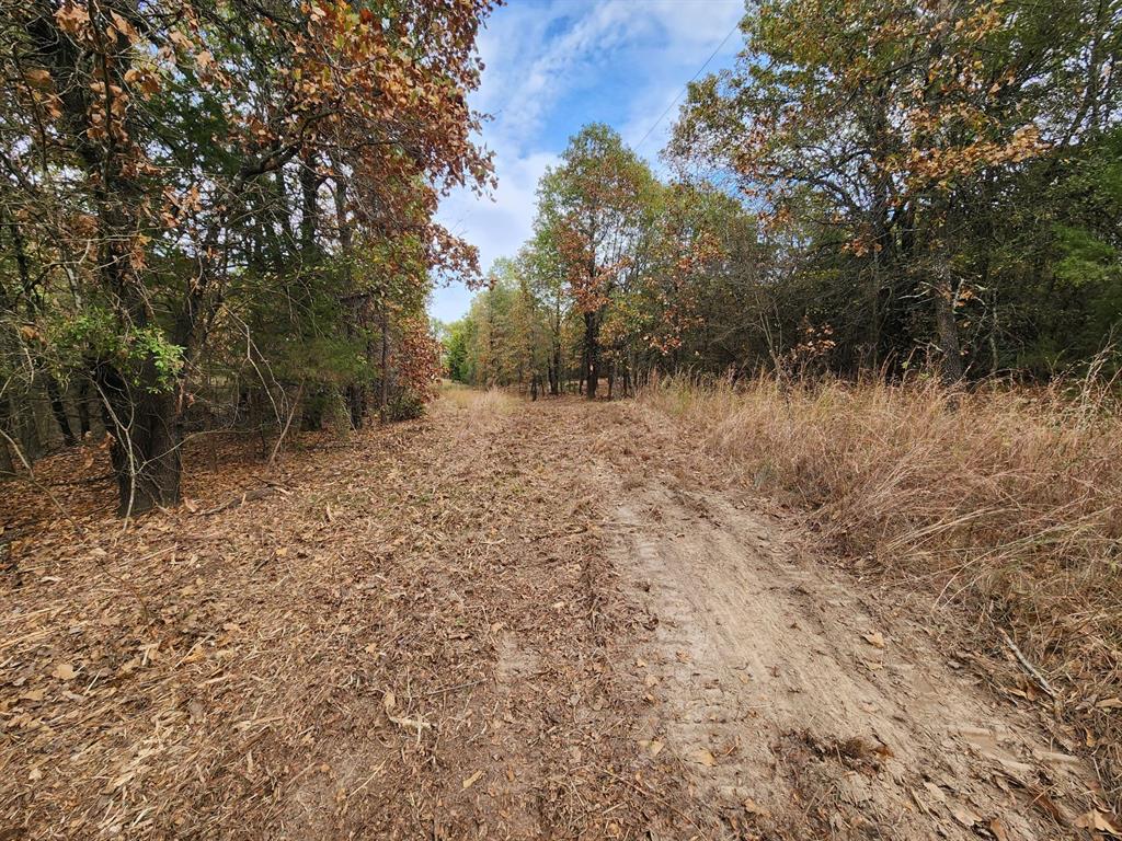 N 4260 Road Property Photo 7