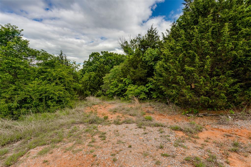 19520 Crestview Road Property Photo 24
