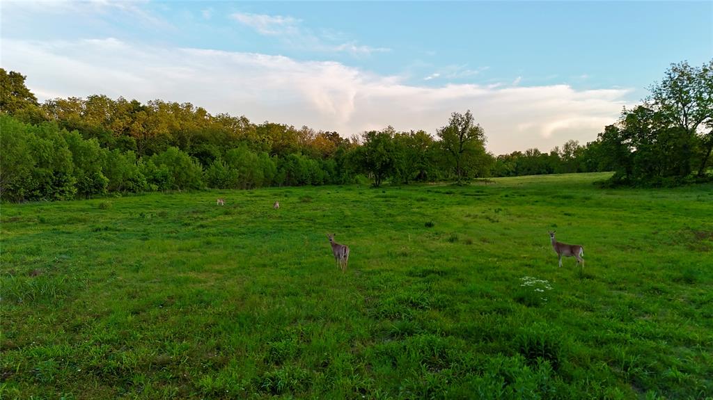 344532 E 1060 Road Property Photo 28