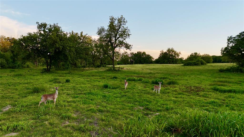 344532 E 1060 Road Property Photo 29