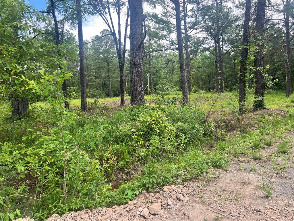 1229660 Property Photo 4