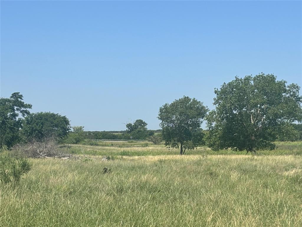 1229816 Property Photo 5