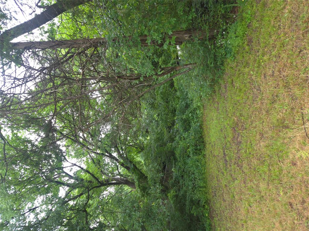 3707 Springdale Road Property Photo 28