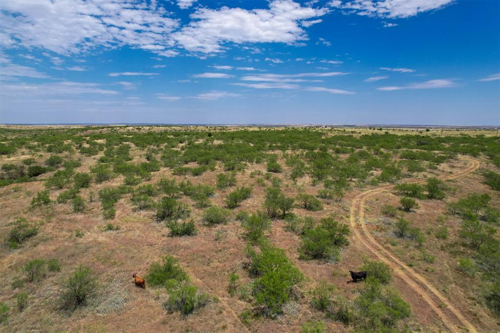 29845 E County Road 1470 Road Property Photo 6