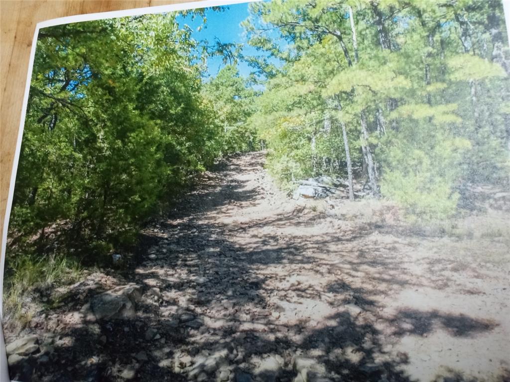 177499 Box Springs Mountain Road Property Photo 5