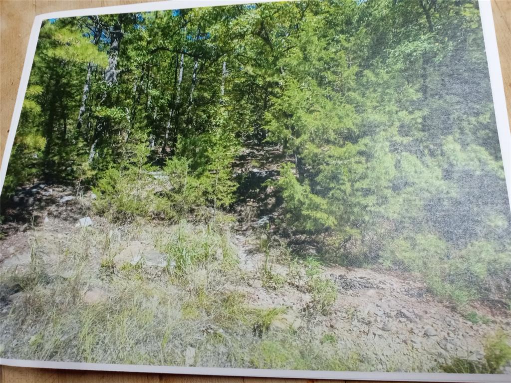 177499 Box Springs Mountain Road Property Photo 6