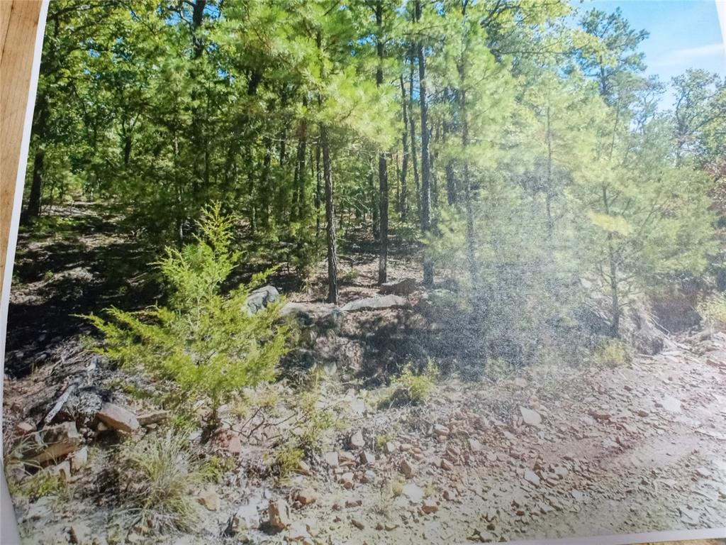 177499 Box Springs Mountain Road Property Photo 7