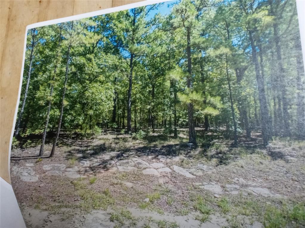 177499 Box Springs Mountain Road Property Photo 9