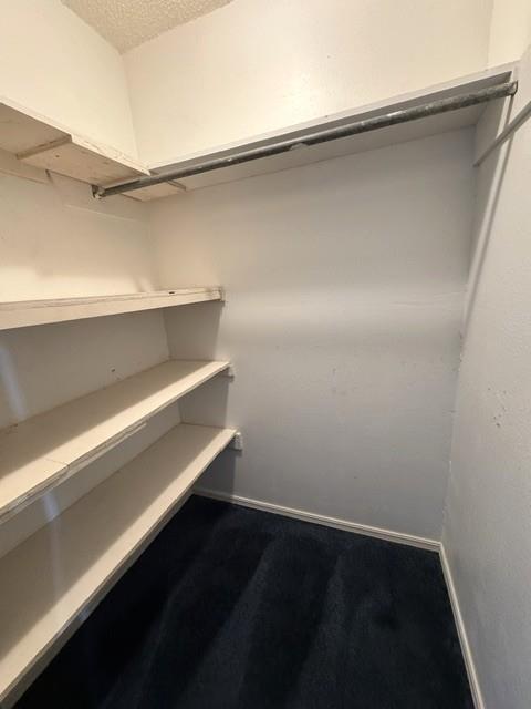 509 Mayfair Way Property Photo 14