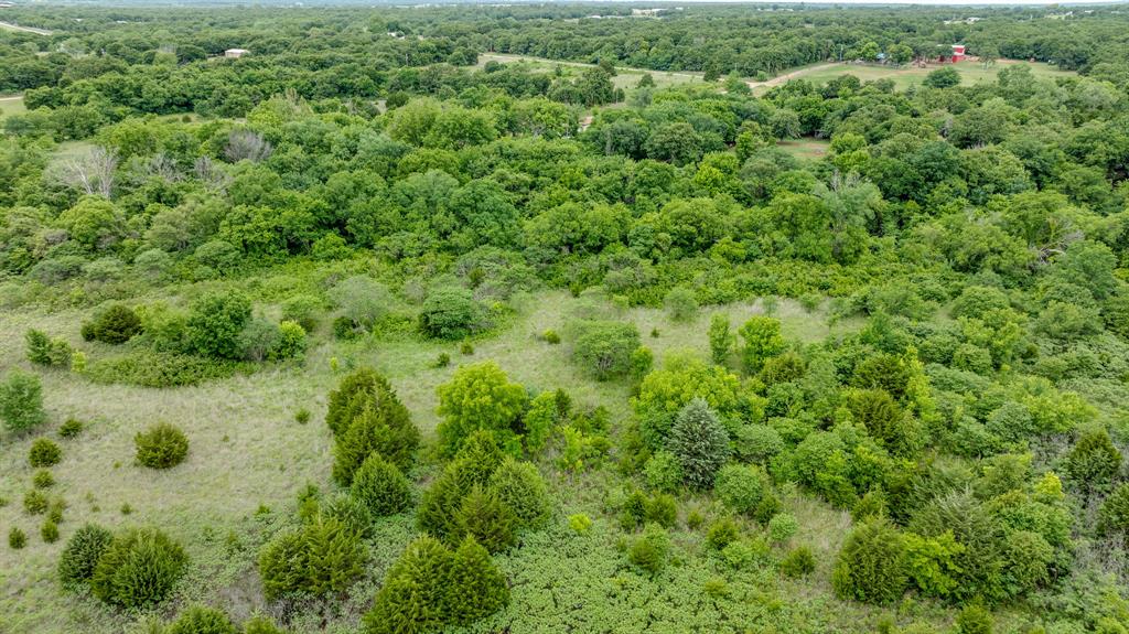 17856 Beechnut Lane Property Photo 30