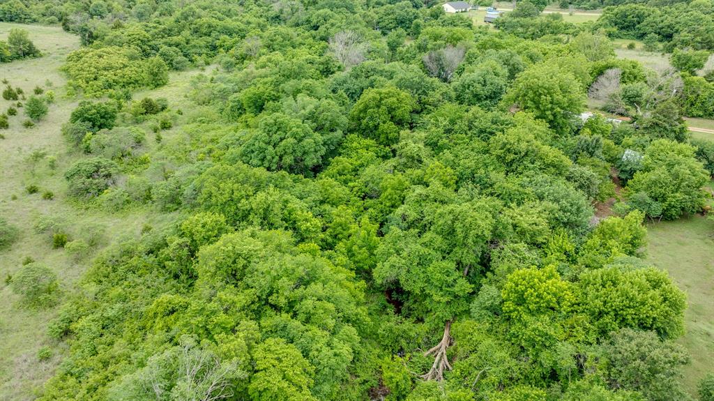 17856 Beechnut Lane Property Photo 31