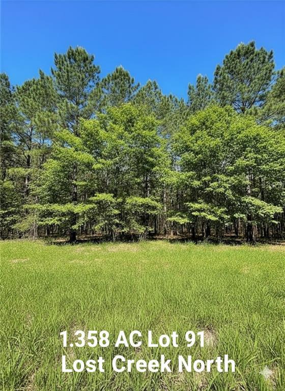 399 Camp Ranch Road Property Photo 1